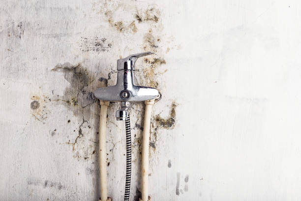 Best Water Damage Restoration  in Greenfield, CA