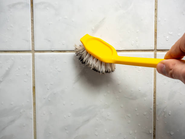 Best Mold Removal Company Near Me  in Greenfield, CA