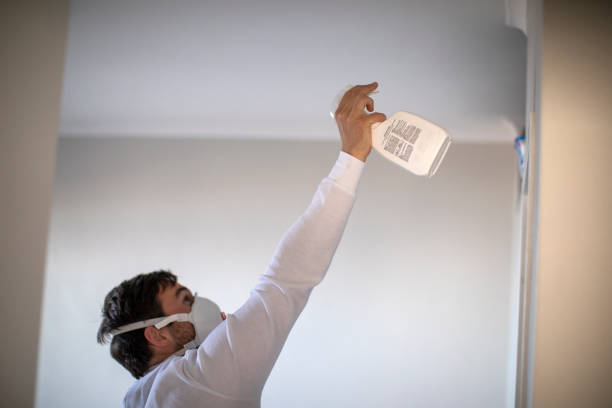 Reliable Greenfield, CA Mold Removal Solutions
