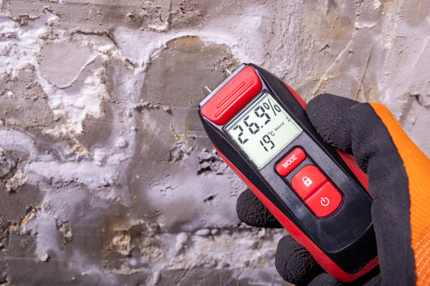 Best Mold Removal Specialists  in Greenfield, CA