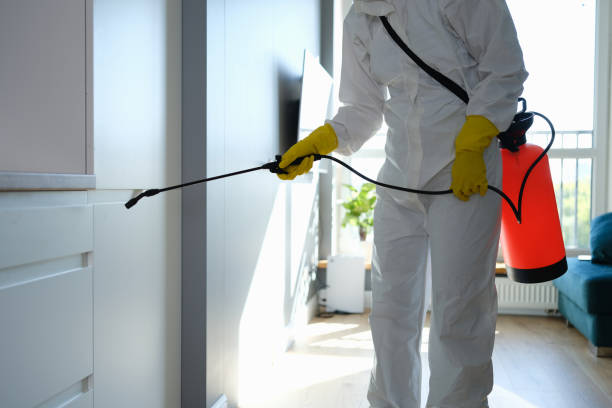 Best Commercial Mold Removal  in Greenfield, CA