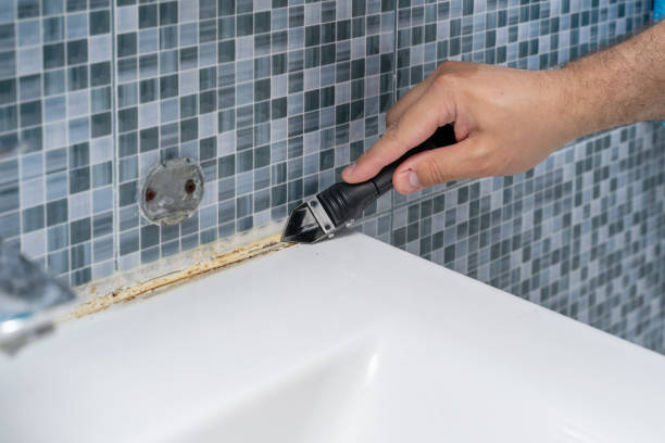 Best Home Mold Removal  in Greenfield, CA