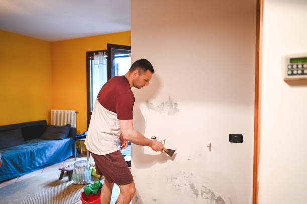 Best Same-Day Mold Removal  in Greenfield, CA